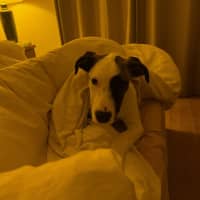 Photo of Isla