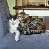 Photo of Stu / Sophie