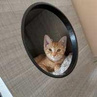 Photo of Misty