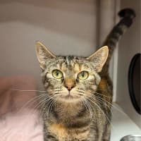 Photo of Nora