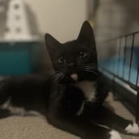 Photo of Rocket
