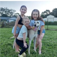 Photo of Mac 🐾💙.  Assisted Rehome