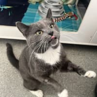 Photo of Tuckshop Tom