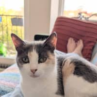 Photo of Mabel