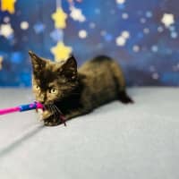 Photo of Barry   Located In Preston 