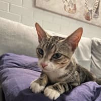 Photo of Squeak
