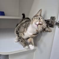 Photo of Kat