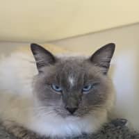 Photo of 🎇 Fiyero 5753 🎇