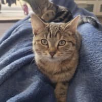 Photo of Emma
