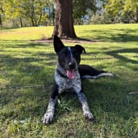 Photo of Tilly