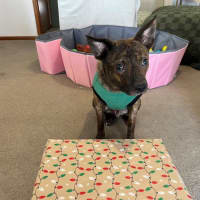 Photo of Horace Silvanus