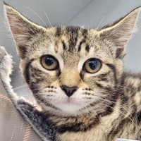 Photo of Agnes Addams