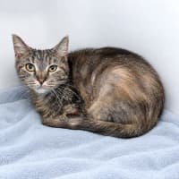 Photo of Bilbo