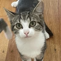 Photo of Francine