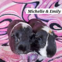 Photo of Michelle & Emily