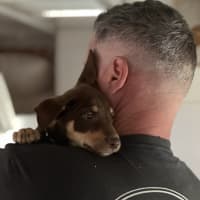 Photo of Hokey Pokey