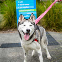 Photo of Freya