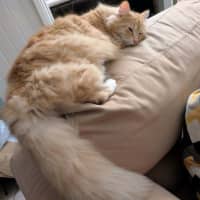 Photo of Jasper