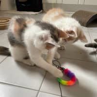 Photo of Margie 🌸🌸🌸