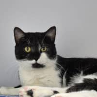 Photo of Simon