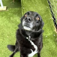 Photo of Roxy