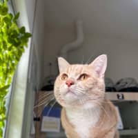 Photo of 🥞 Rupert 5644 🥞