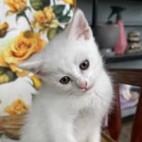 Photo of Mimi