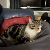 Photo of Leo