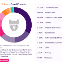 Photo of Bulmer