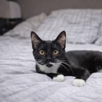 Photo of Buttons