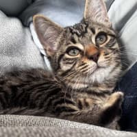 Photo of Coco 
