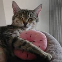 Photo of Nini
