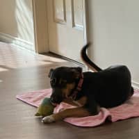 Photo of Ellie 
