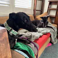Photo of Keira