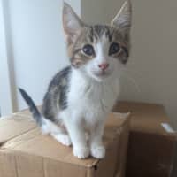 Photo of Sophia Golden