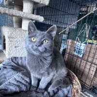 Photo of Victor 