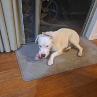 Photo of Phoenix