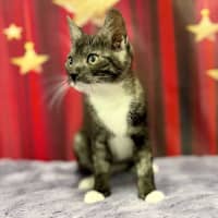 Photo of Feyre   Located In Kew