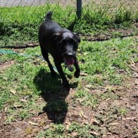 Photo of Tiny (64783)