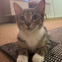 Photo of Andi