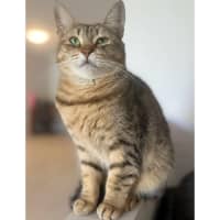 Photo of 6295   Adele