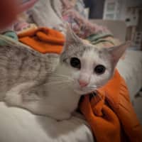 Photo of Benito