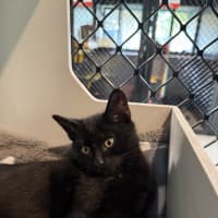 Photo of Mr
