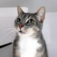 Photo of Maddern Sta014685