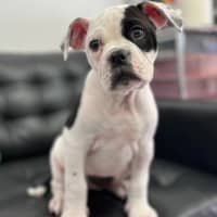 Photo of Matilda