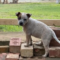 Photo of Rumba