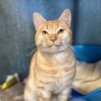 Photo of Ernie