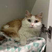 Photo of Kiki