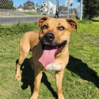 Photo of Ali (66821)