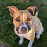 Photo of Rosemary Kumara